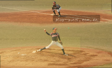 联系支持与反馈